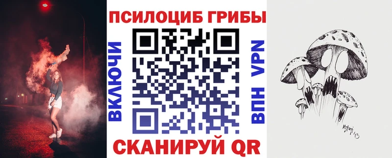Псилоцибиновые грибы Cubensis дарнет шоп Кандалакша