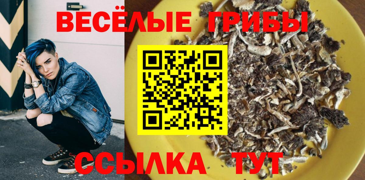 Галлюциногенные грибы MAGIC MUSHROOMS  Вход с VPN  Кандалакша 